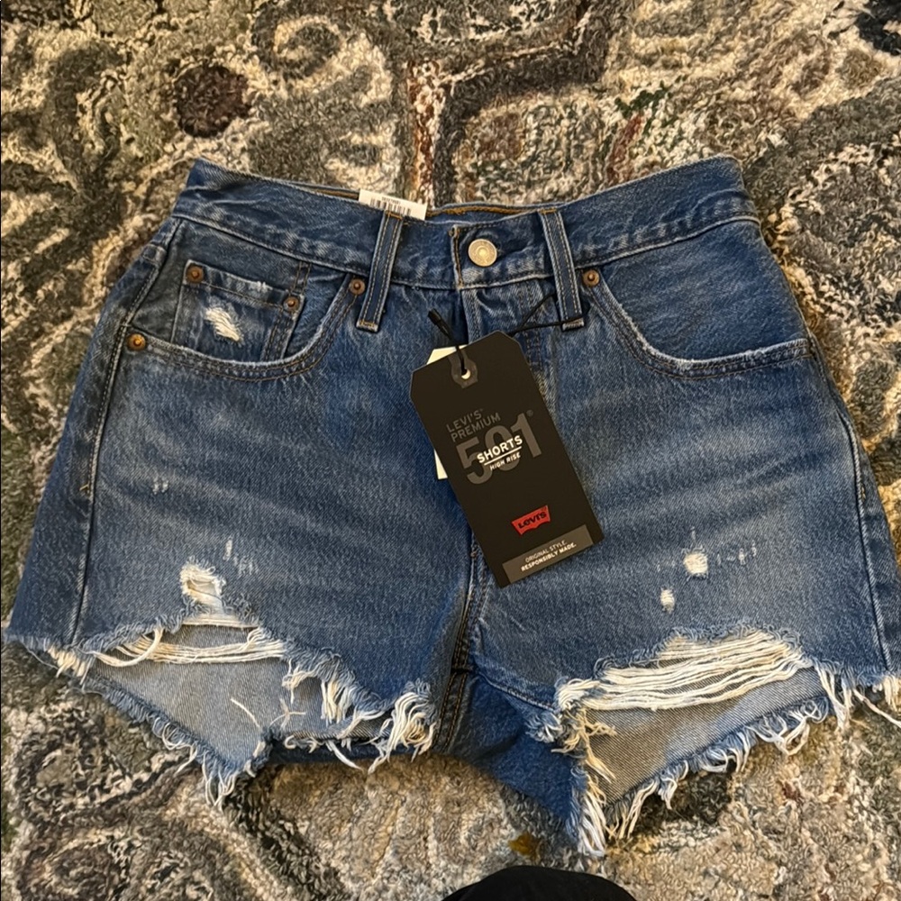 Levi's 501 NET Distressed Cut Off Denim Shorts